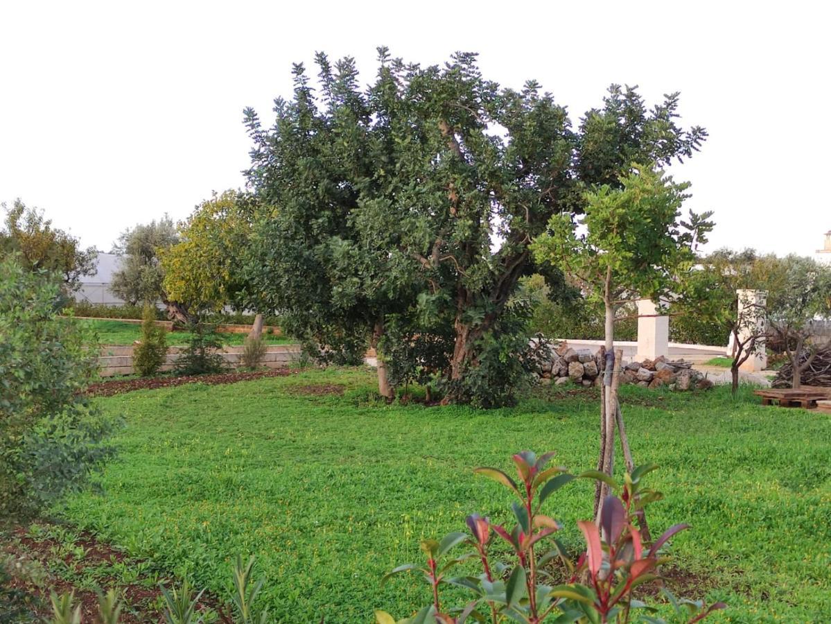 Villa Residenza I Tre Carrubi Fasano Esterno foto