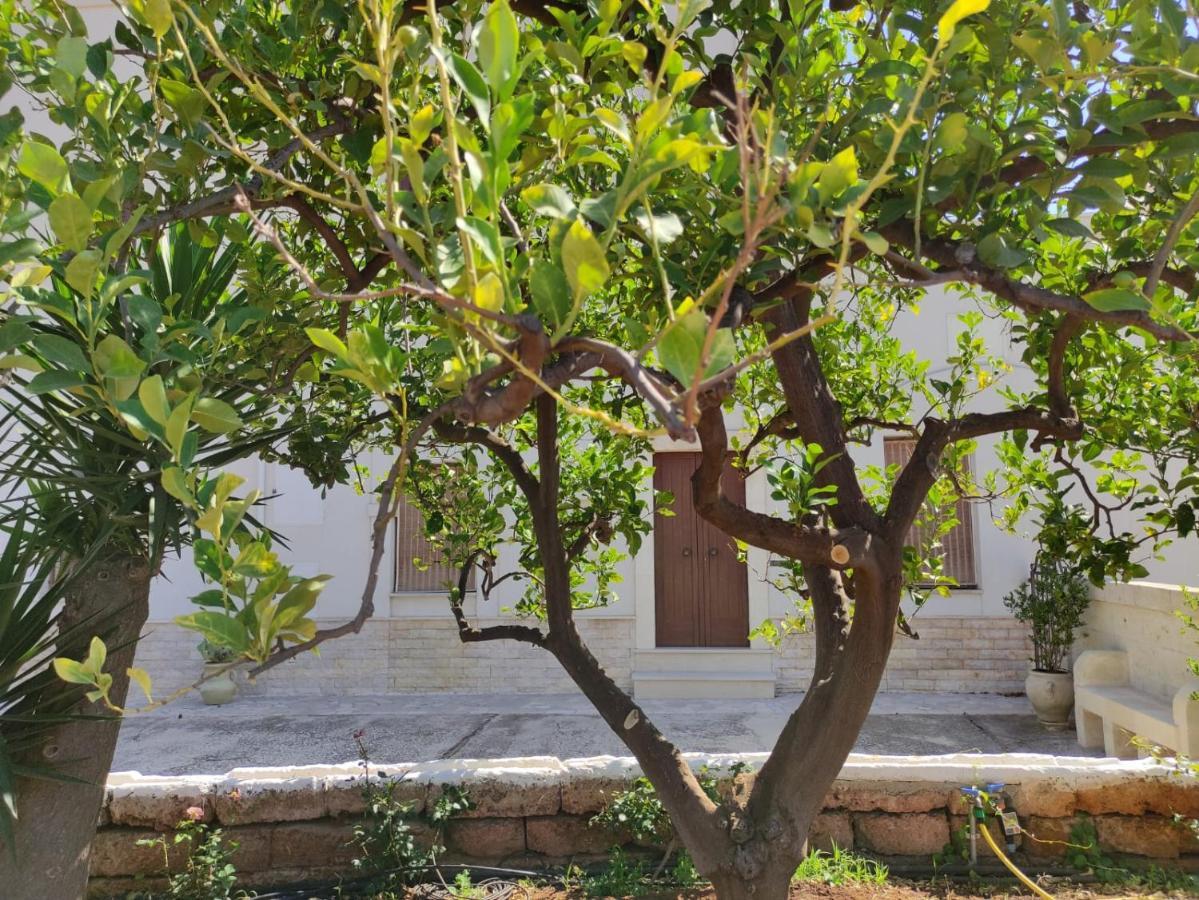 Villa Residenza I Tre Carrubi Fasano Esterno foto