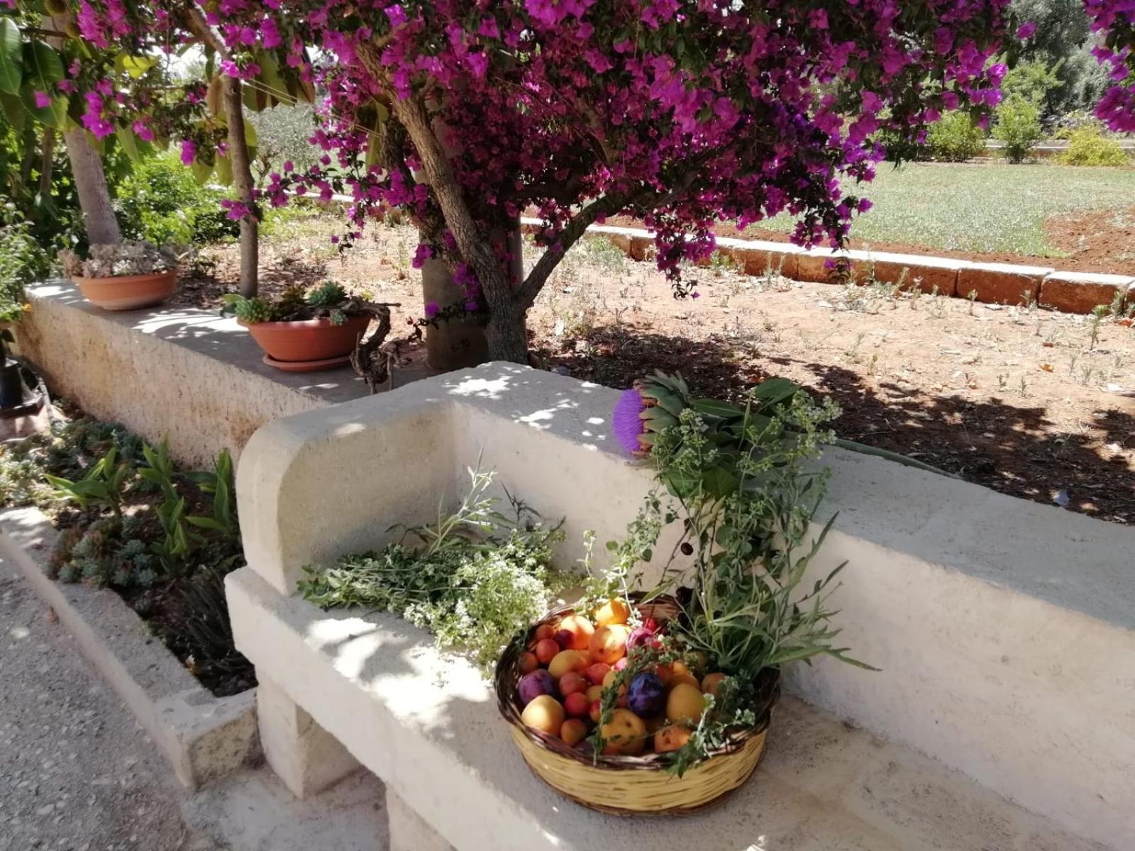 Villa Residenza I Tre Carrubi Fasano Esterno foto