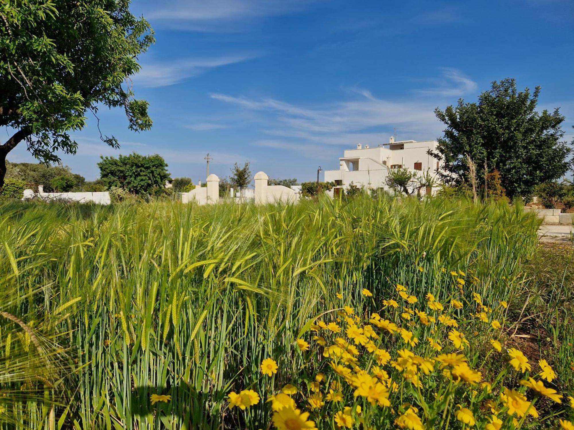 Villa Residenza I Tre Carrubi Fasano Esterno foto